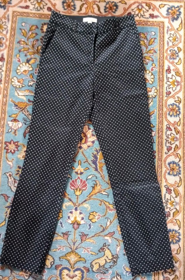 Paket 4 Jeggings Hosen 170/176 xs in Wegscheid