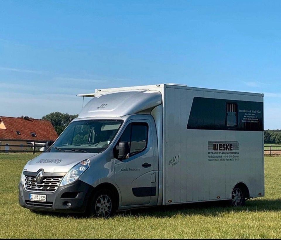 Pferdetransporter JL Mini in Groß-Zimmern