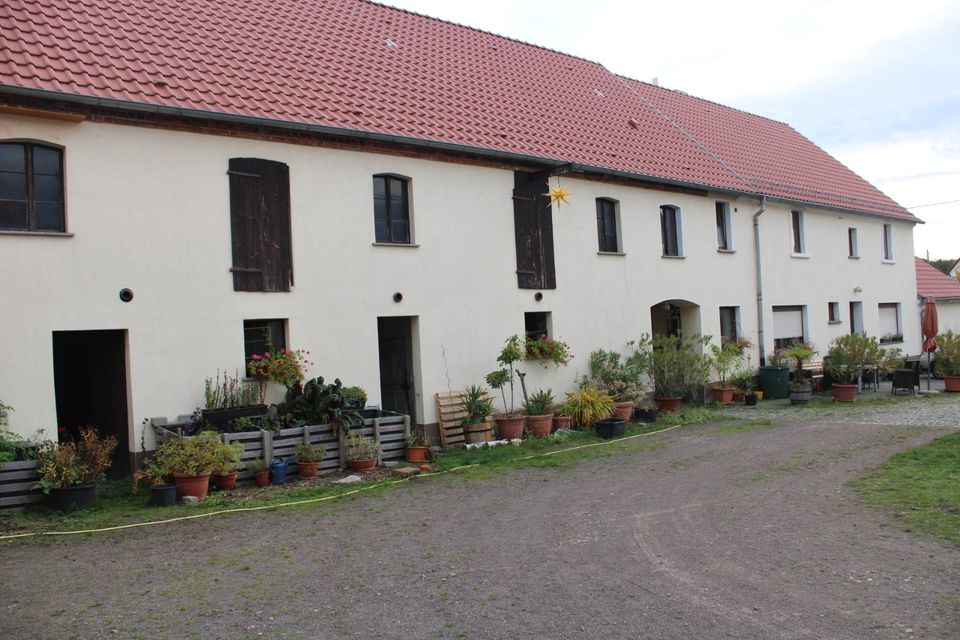 Großzügiger 4-Seithof mit Zukaufoption von 19.5 ha Acker in Bockwitz nahe der Dahlener Heide in Belgern