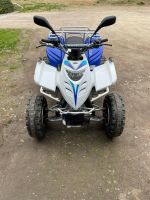 Quad Adly 300 Bayern - Cham Vorschau