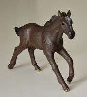 Schleich Pferd: Mustang-Fohlen, Nr. 13807, dunkelbraun, wie neu Bayern - Ottensoos Vorschau