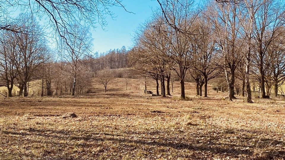 Freizeit Grundstück in Schiffweiler