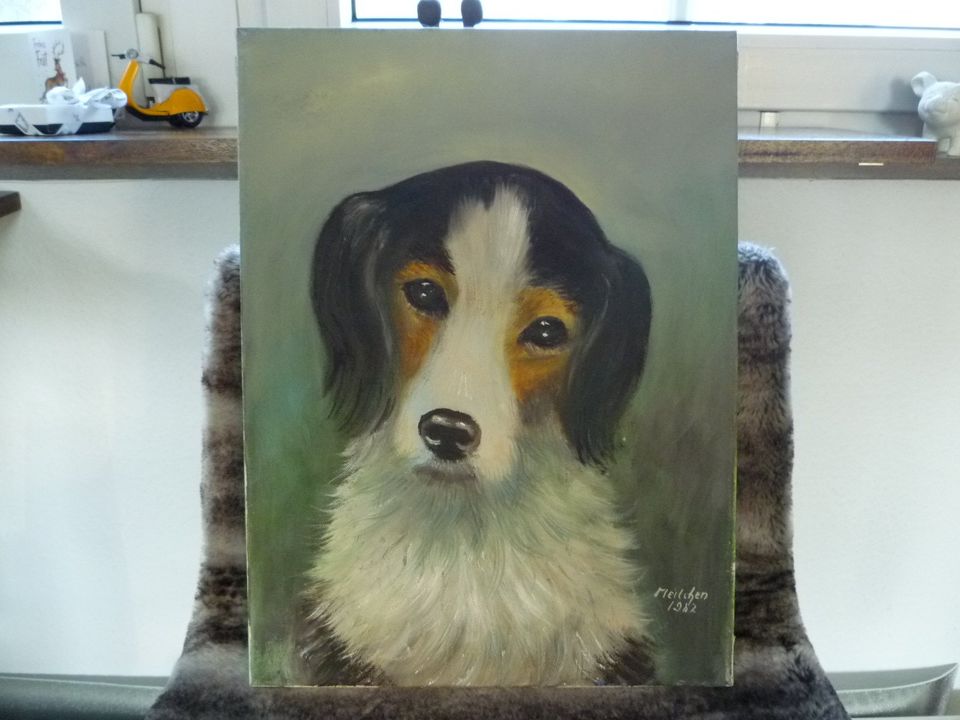 Liebreizendes Hunde-Portrait v. "Annemarie Meilchen" Öl a. Leinw. in Sankt Augustin