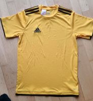 Sportshirt, Fußballshirt von Adidas Gr. 176 / 15-16 Jahre Brandenburg - Teltow Vorschau