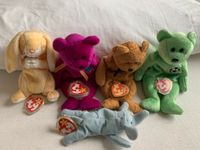 Ty Beanie Babies Bären 5 Stück Rostock - Stadtmitte Vorschau