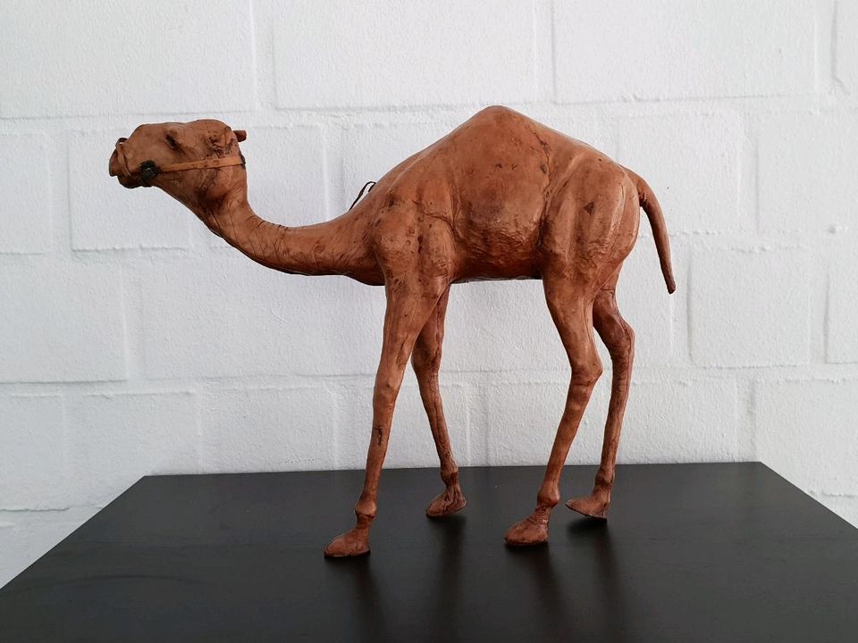 Kunstwerk realistische Holzfigur Kamel aus Afrika in Hildesheim