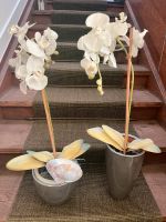 2 Orchideen deko Pflanzen aus Kunststoff  mit Blumentopf Rheinland-Pfalz - Bad Ems Vorschau