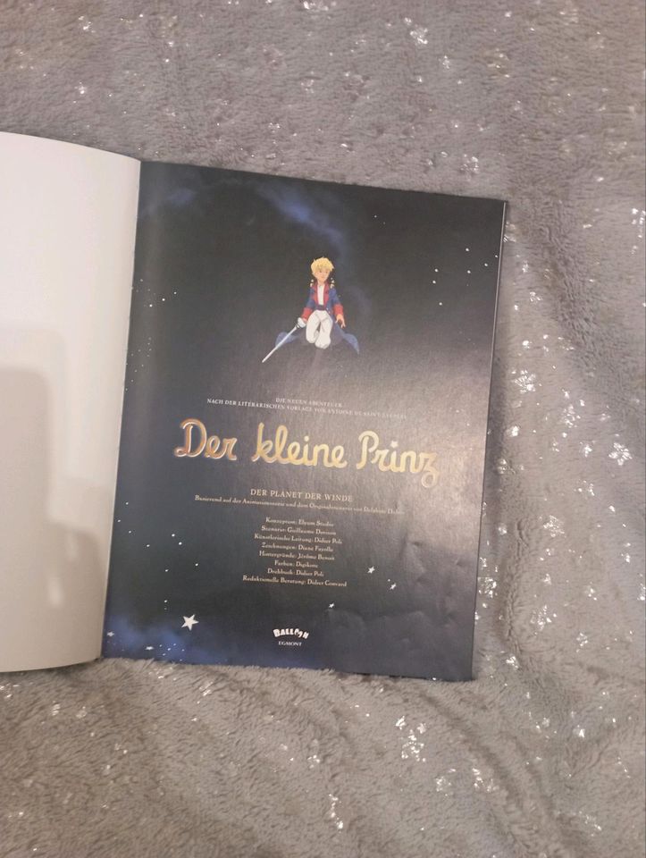 Buch Der kleine Prinz in Saalfeld (Saale)