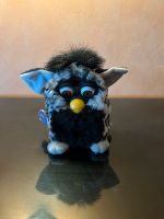 Furby getiegert selten 98 Rheinland-Pfalz - Neuwied Vorschau