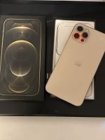 iPhone 12 Pro 256GB Gold top Zustand Saarland - Losheim am See Vorschau