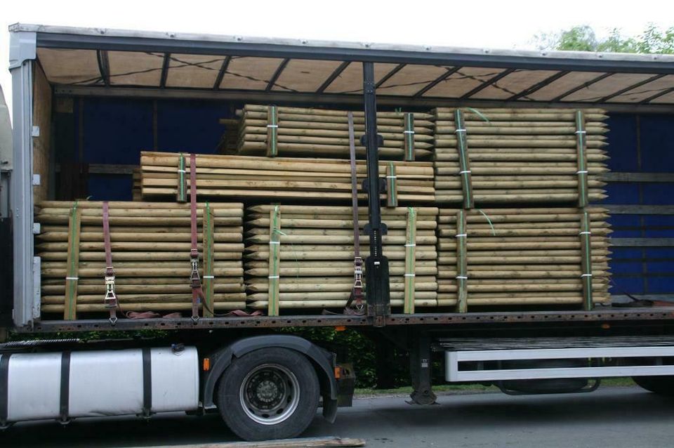 Zaunpfähle - Baumpfähle - Holzpfähle - 10 x 250 cm - imprägniert in Wagenfeld