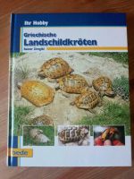 Griechische Landschildkröten Sachsen - Chemnitz Vorschau