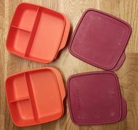 Tupperware Clevere Pause Lunchbox Set mit Trennwand 2x 550ml rot Nordrhein-Westfalen - Kamen Vorschau