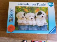 Ravensburger Puzzle 200 Teile XXL / kuschelige Welpen Bayern - Illertissen Vorschau