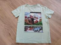 Next T-Shirt mit Dinosaurier Motiv, Größe 6 Jahre/116 Niedersachsen - Nienburg (Weser) Vorschau