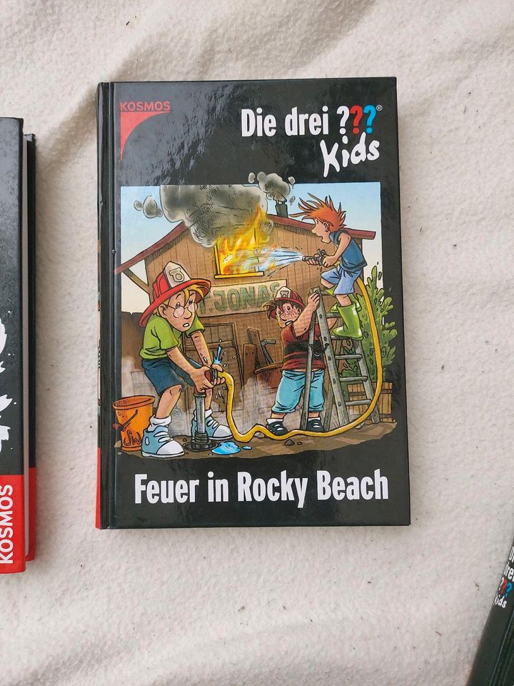 Die drei ???  Fragezeichen ???  6 Bücher- guter Zustand in Joachimsthal