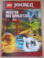 Lego Ninjago Rätselbuch Baden-Württemberg - Schömberg b. Württ Vorschau