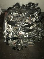 MOTOR CGL CGLC CMGB 2.0TDI 177PS 30TKM Nordrhein-Westfalen - Schloß Holte-Stukenbrock Vorschau