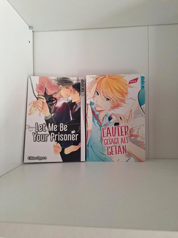 Verschiedene BL, Gl und romance Manga in Laatzen