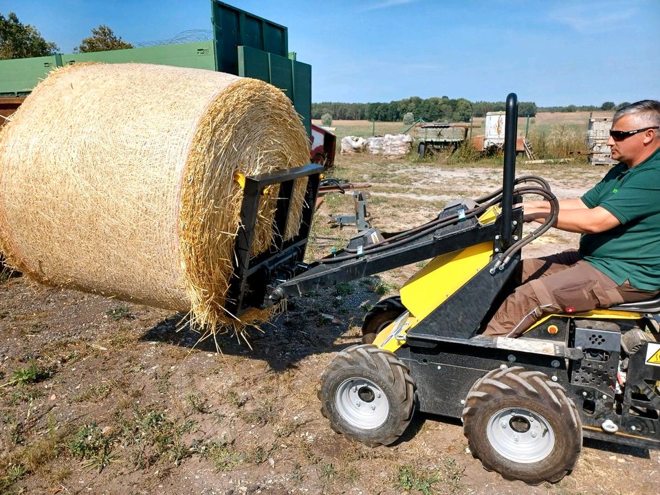 Stier Minilader Hoflader Radlader in Salzwedel