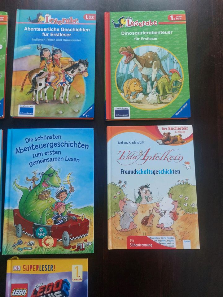 Lesen lernen Erstleser Buch Tilda Apfelkern Leserabe Schulanfang in Dresden