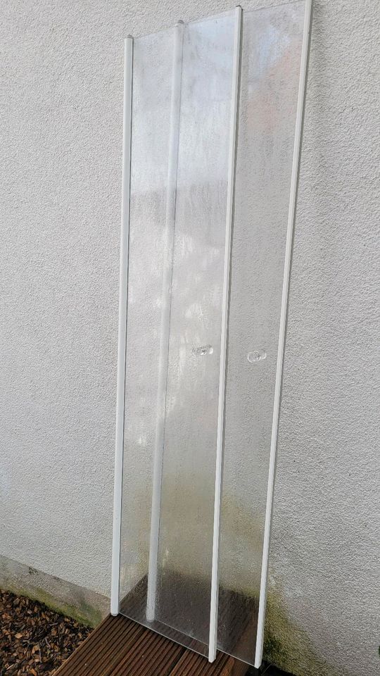 Duschtüren Pendeltüren Kunststoff in Bodenheim