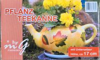 Blumentopf Teekanne mit Untersetzer 17 cm Sachsen - Frankenberg (Sa.) Vorschau