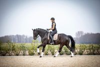 Schönes  und tolles 9-jähriges Dressurpferd Niedersachsen - Bad Bentheim Vorschau