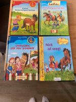 Pferdebücher 2-4 Lesestufe Sachsen - Gornau Vorschau