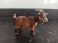 Schleich 13601 - Zwergziege Brandenburg - Petershagen Vorschau