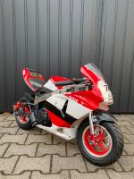 Pocket Bike 50ccm KXD NEU Pocketbike Kindermotorrad Rennmaschine Bayern - Aschaffenburg Vorschau