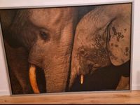 Ikea bild 2x1m Elefanten Bayern - Egling a.d. Paar Vorschau