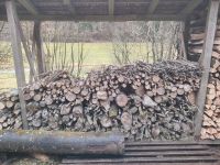 Brennholz Trocken Kamin Hart Holz Buche Esche Nussbaum Bayern - Heiligenstadt Vorschau