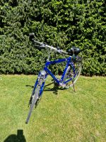 Herren Trekking Fahrrad blau Giant 28 Zoll Aluminium 24 Gänge Nordrhein-Westfalen - Coesfeld Vorschau