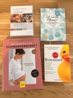 Bücher zur Schwangerschaft und gratis DVD Hessen - Hanau Vorschau