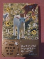 Japanisch Buch Koyagi no Kanmuri Ichikawa Jugendbuch Furigana Nordrhein-Westfalen - Willich Vorschau