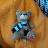 Eintracht Frankfurt  Teddybär Hessen - Bruchköbel Vorschau