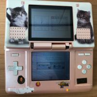 Defekter Nintendo DS NDS Classic FAT Model NTR-001 Gameboy Baden-Württemberg - Herbrechtingen Vorschau