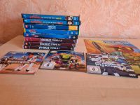 Playmobil/Lego DVDs (Ninjago, Dragons Reiter von Berk) Sachsen - Leubsdorf Vorschau