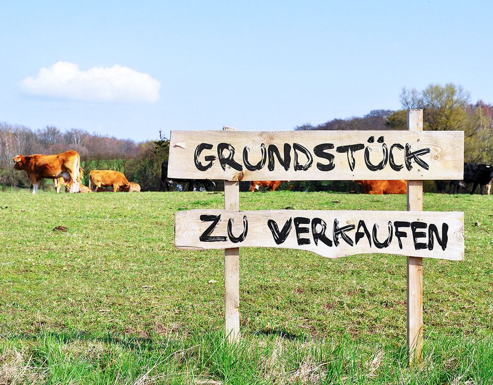 Wir suchen in Schöneiche EFH oder MFH Ladengeschäfte für Gastronomie von 100 m² bis 300 Kaufen & Mieten in Berlin