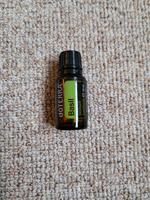 Doterra Basil Basilikum Bayern - Augsburg Vorschau