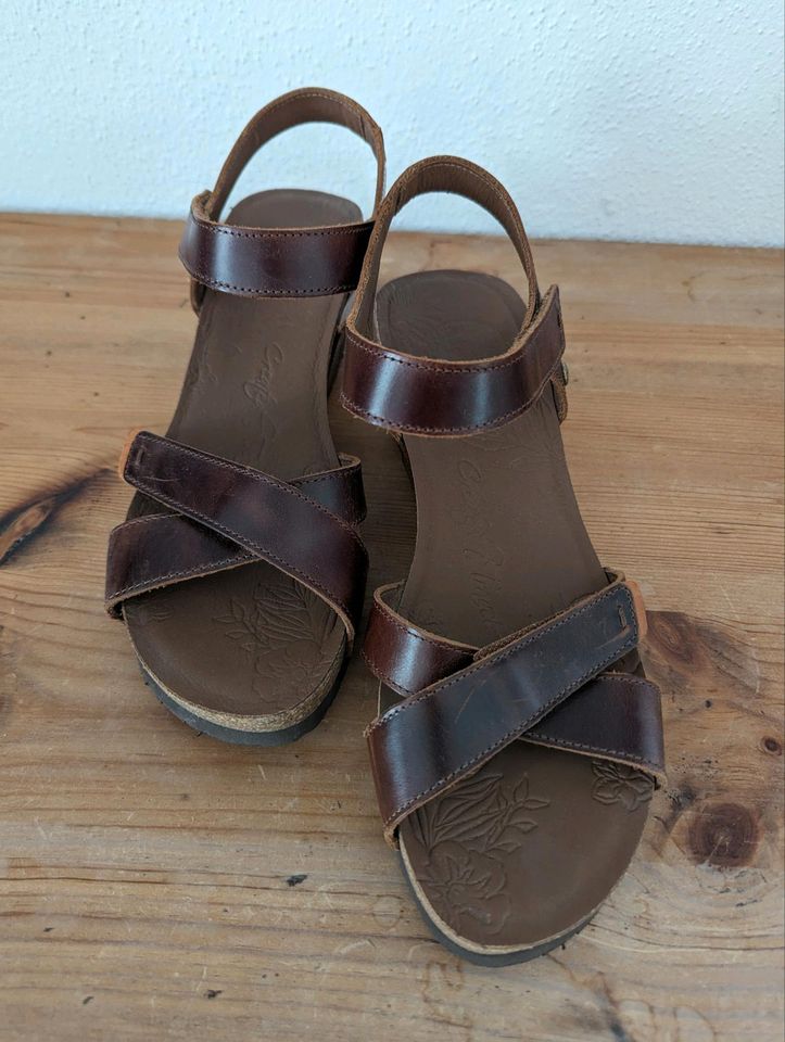 Sandalen Panama Jack 40 in Wang