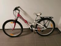 Trek MT 220 MTB Mountainbike 24 zoll Nordrhein-Westfalen - Hünxe Vorschau