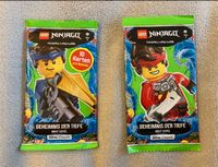 Lego Ninjago Booster, z.B. für den Adventskalender o. Weihnachten Niedersachsen - Hildesheim Vorschau