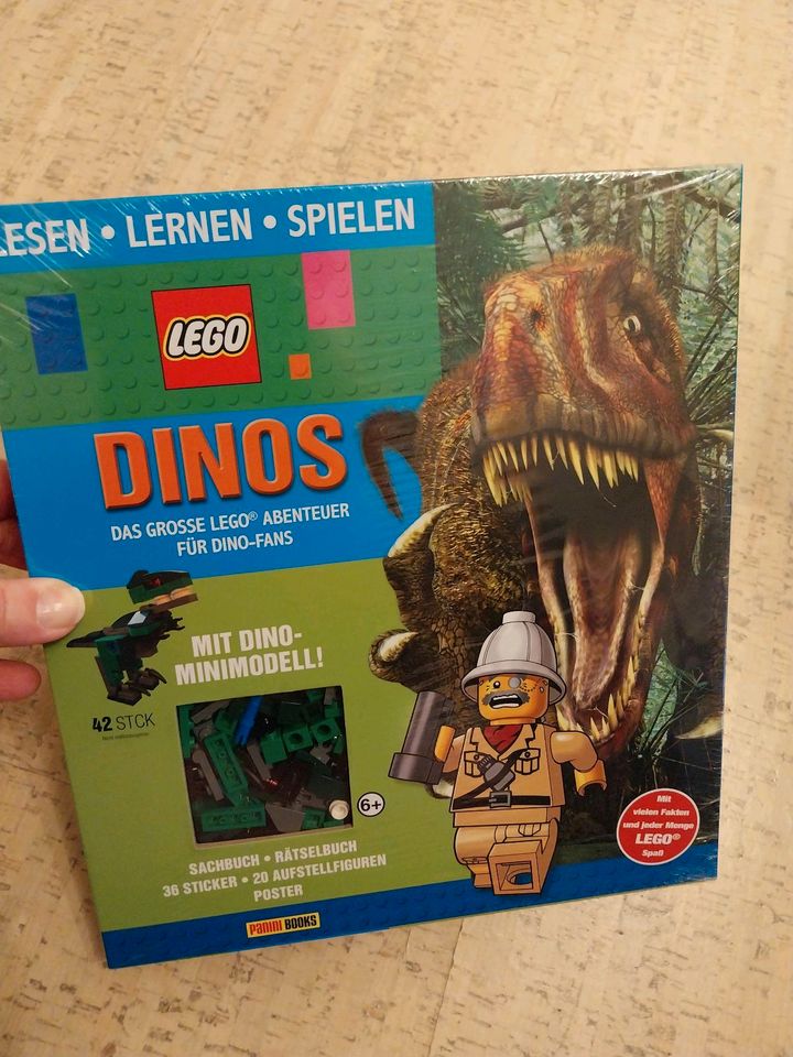 Lego Dinos Lesen Lernen Spielen in Alfter