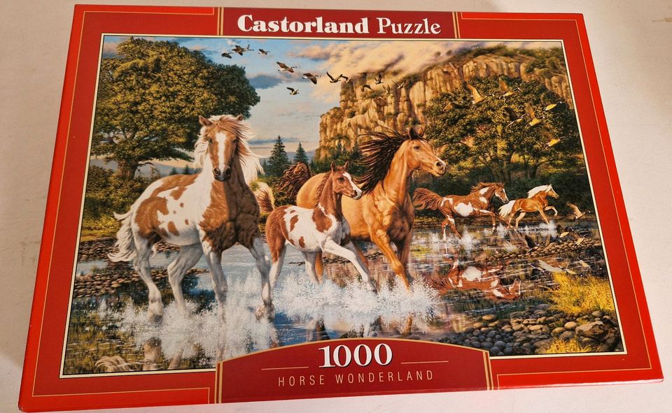 13 Castorland Puzzle 1000/1500Teile,neuw. in Bad Sulza