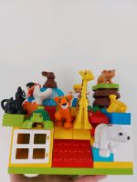 Lego duplo- viele Tiere Nordrhein-Westfalen - Krefeld Vorschau