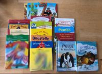 Pixi Bücher und kleine Bücher Kinder lesen Brandenburg - Eberswalde Vorschau