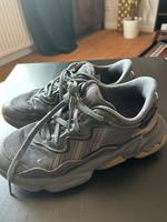 Adidas Schuhe 42 Bremen - Neustadt Vorschau