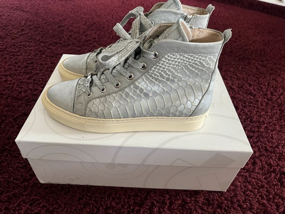 Super Sneaker von Gino-b Größe 37 Silber Leder modisch in Bad Oeynhausen